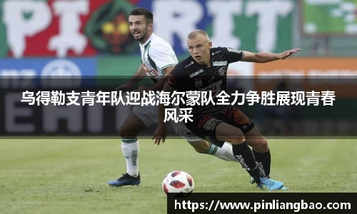 开元体育app官网入口